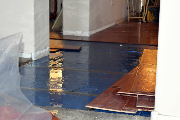 Professional Sewage Cleanup technician working in Petros, TN