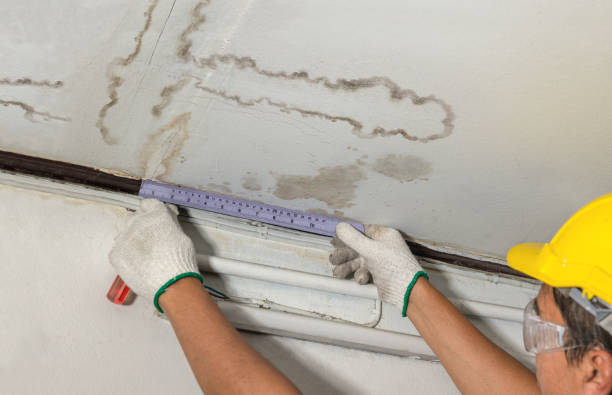 Reliable Sewage Cleanup contractor in Petros, TN by Water Damage Irwin